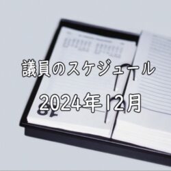2024年12月
