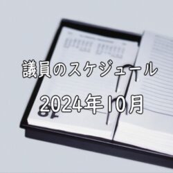 2024年10月