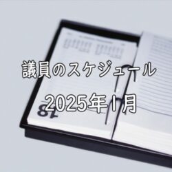 2025年1月